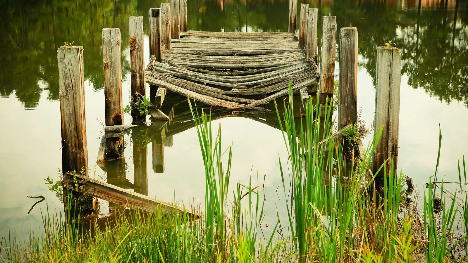 Japan Flight Guide 2026 Planning and Booking Advice